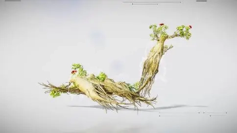 長白山人參宣傳片
