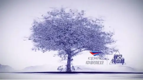 CGTN一帶一路宣傳片