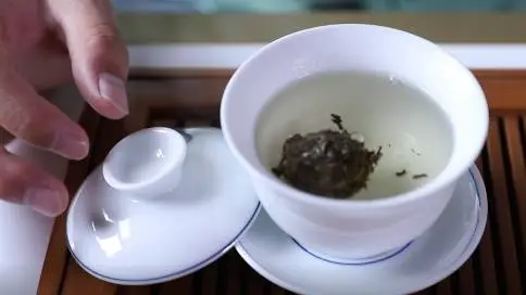 喝茶小白养成记第1期：普洱生茶是什么物种？