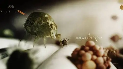 柏德生物科技品牌宣傳片
