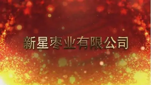新星棗業(yè)有限公司