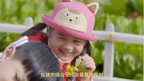 益陽東城幼兒園宣傳片