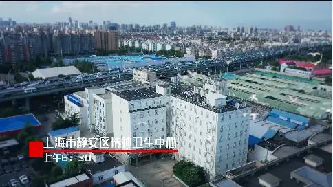 上海精卫中心为祖国70周年献礼大合唱