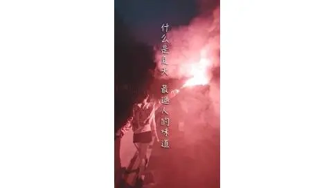 宏寶萊什錦汽水