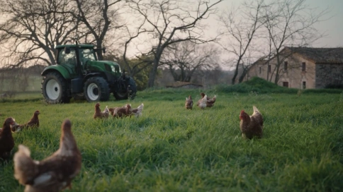 法国连锁商超U Shops广告片：先有鸡还是先有蛋？