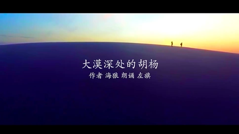 电视散文：大漠深处的胡杨（吴世康纪录片工作室）