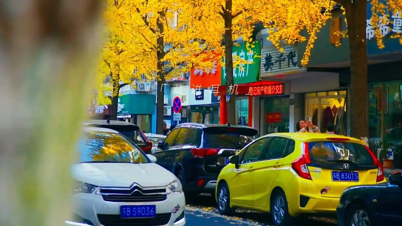 街拍風(fēng)景視頻