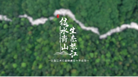 怒江州公益林宣传片