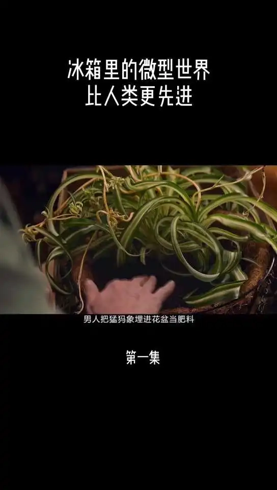 人類簡史徽世界