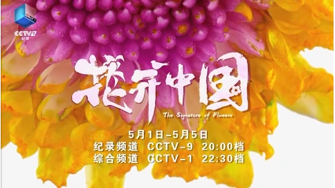 大型自然园艺类纪录片《花开中国》 梵曲配音