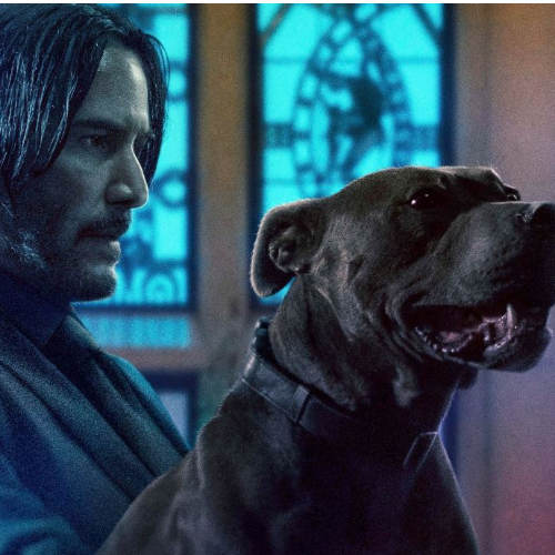 急速追杀3-视频混剪