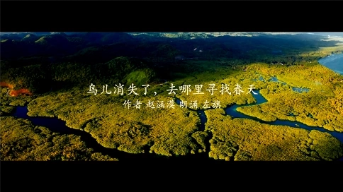 電視散文：鳥兒消失了，去哪里尋找春天（吳世康紀錄片工作室）