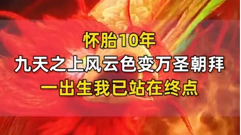 信息流武俠小說