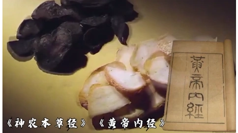 易水醫(yī)方峰會(huì)宣傳視頻