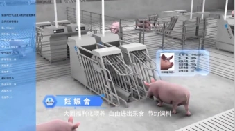 自动化养猪机械设备原理三维演示动画-智能化供料饲喂系统-无人值守猪舍工艺动画制作