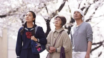 13部日本电影中的春天，太美了
