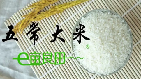 五常大米产品宣传片