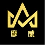 酒吧炫酷logo展示