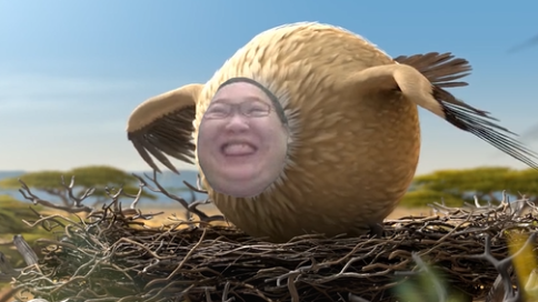 鬼畜搞笑视频pdd