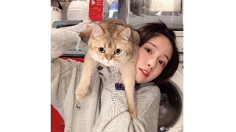 個人定制剪輯