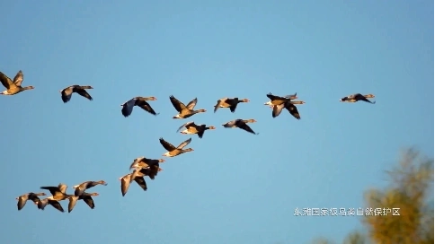 光明墅系列15秒短片