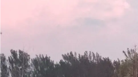 隨記后的小開心