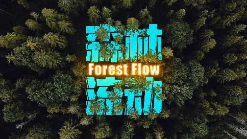 跑酷短片《森林流动》-身体机能的极限与大自然的融合