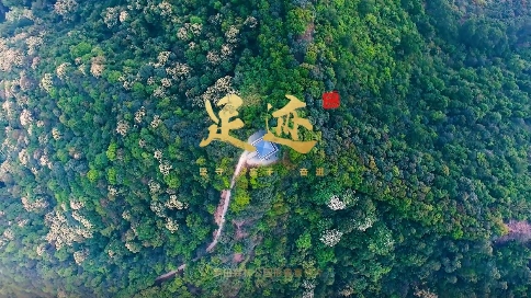 深圳市宝安区罗田森林公园形象宣传片《足迹》