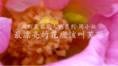 纪录片：最漂亮的花应该叫芙蓉（吴世康纪录片工作室）