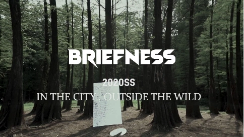 BRIEFNESS -「IN THE CITY,OUTSIDE THE WILD」
