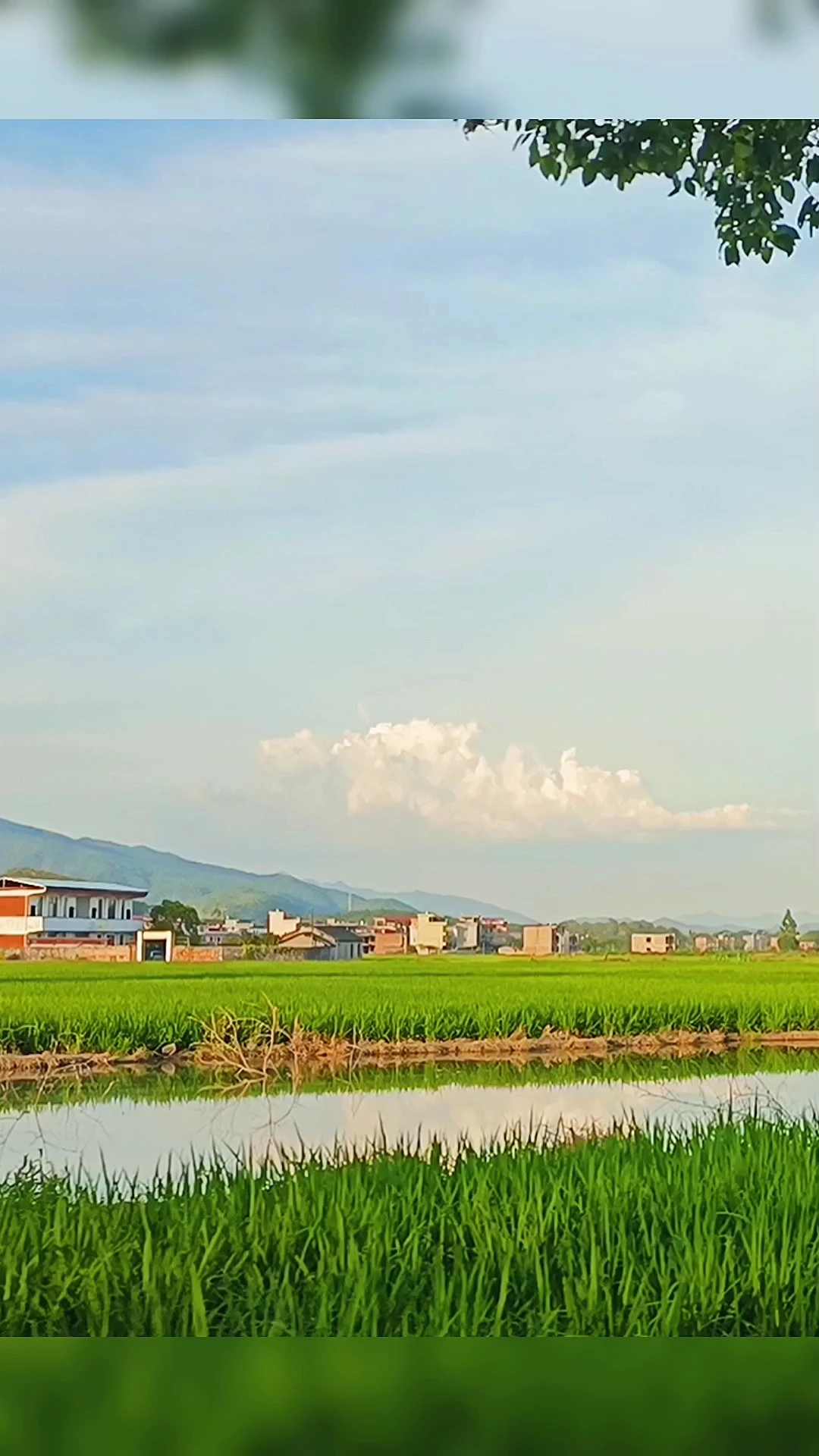 鄉(xiāng)村風(fēng)景，寧靜自然。