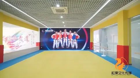翔龙武道宣传片