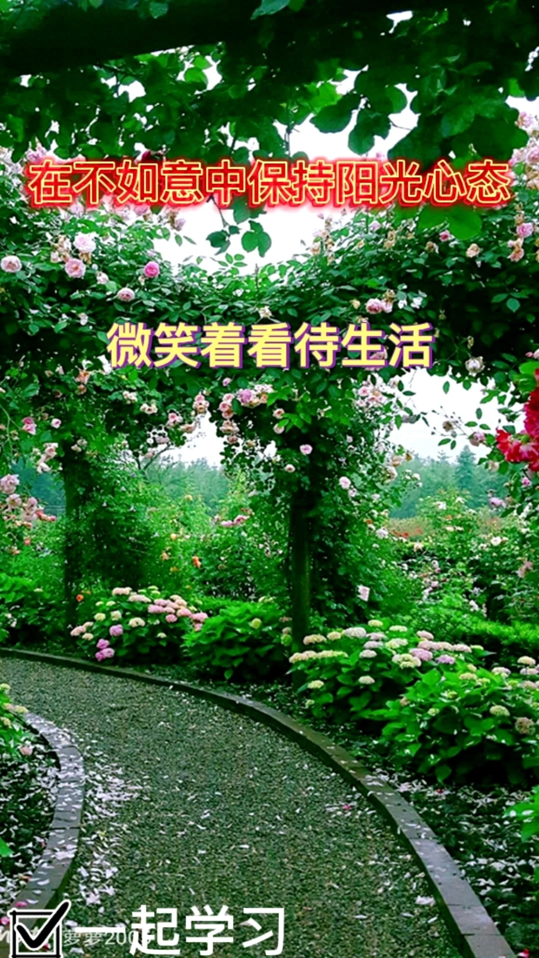 在不如意中保持陽(yáng)光心態(tài)，微笑看待生活