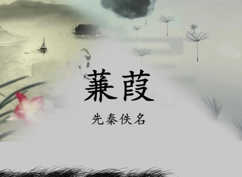 蒹葭短視頻