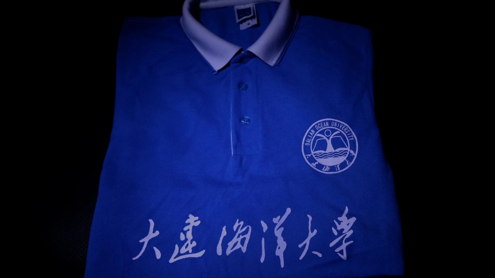學(xué)校視頻 