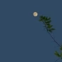 長(zhǎng)夜漫漫 浩瀚星空 無(wú)心睡眠