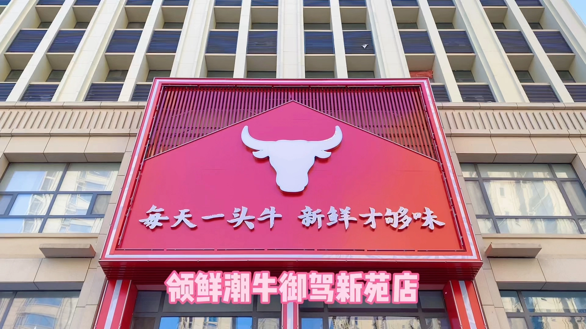 隨手拍
