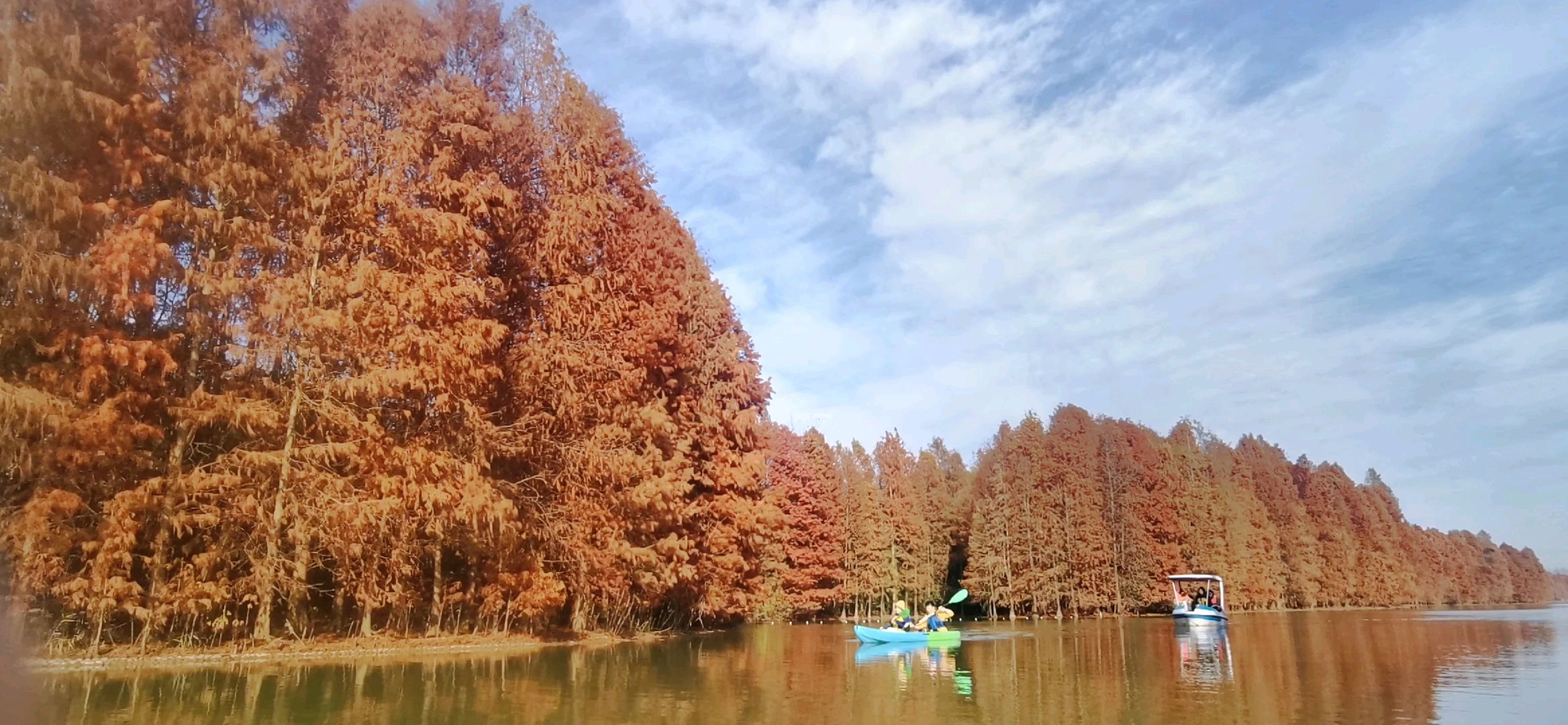 海灣森林公園