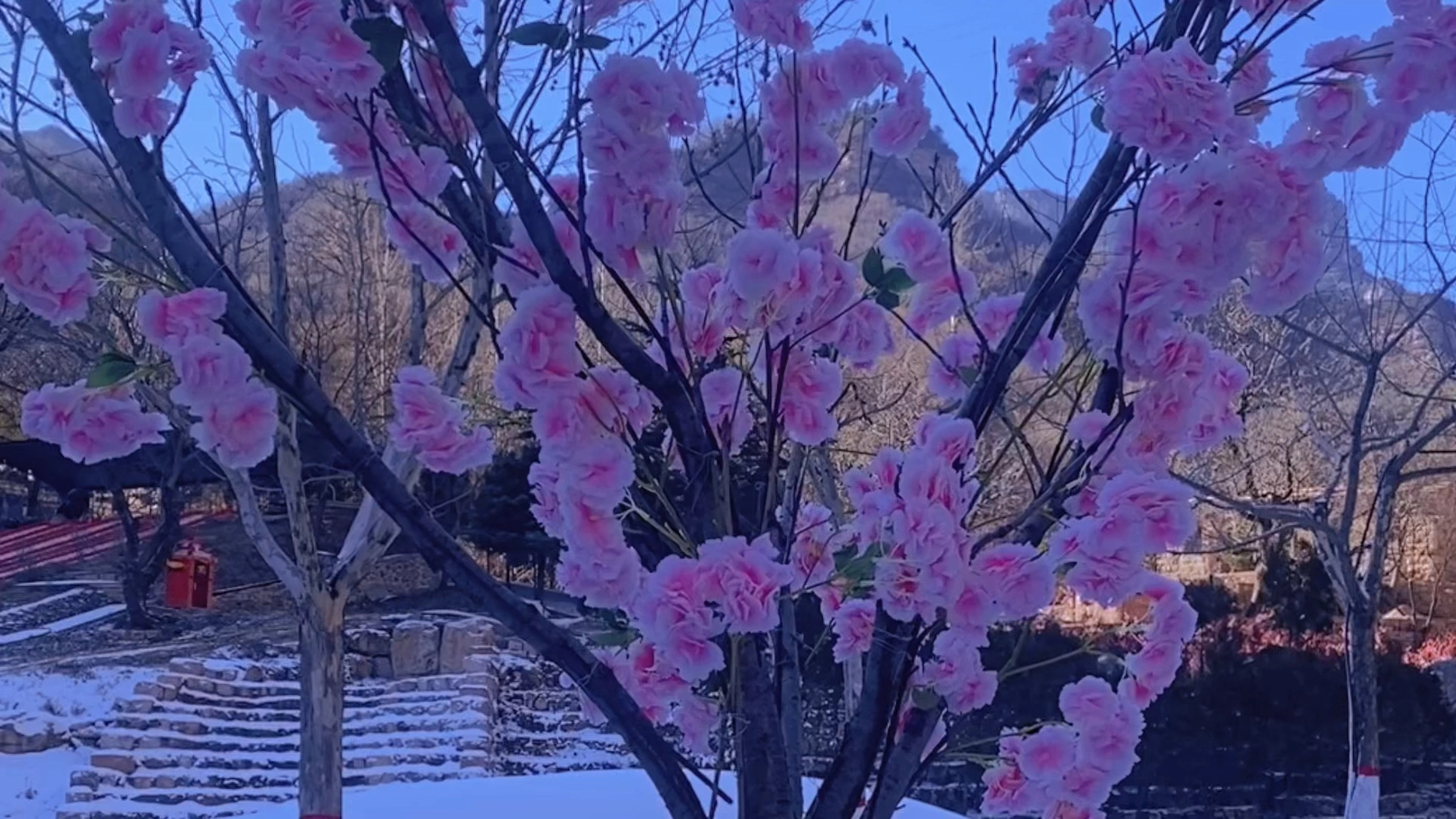 古木无人径，深山何处钟