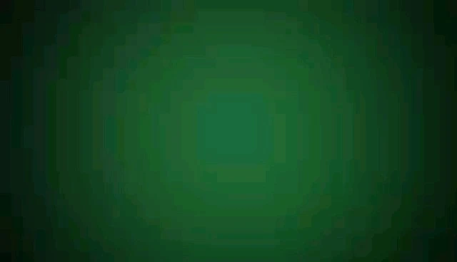 實(shí)拍