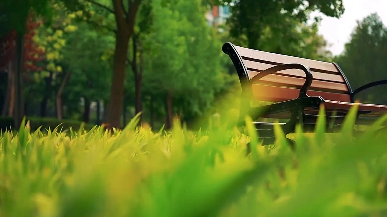 春天
