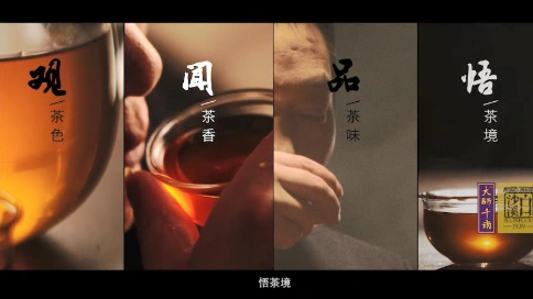 沙溪茶广告片