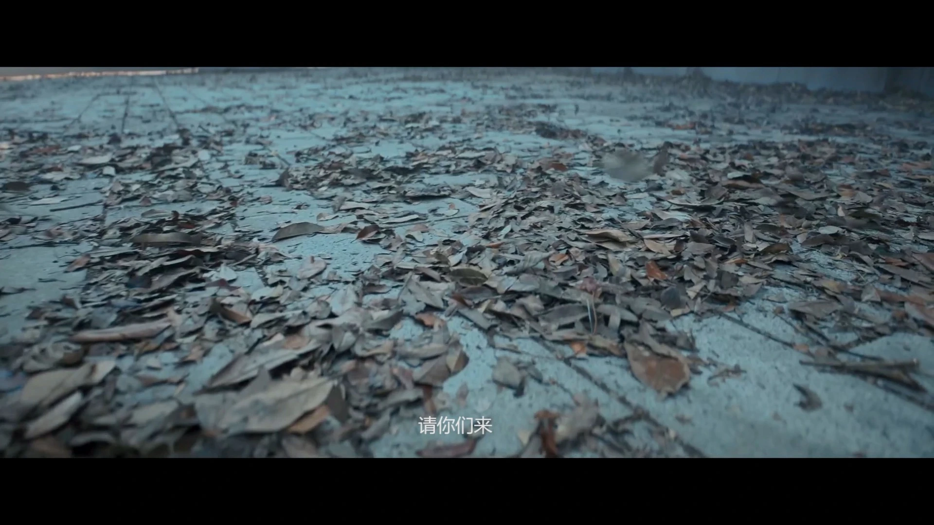 預(yù)告片