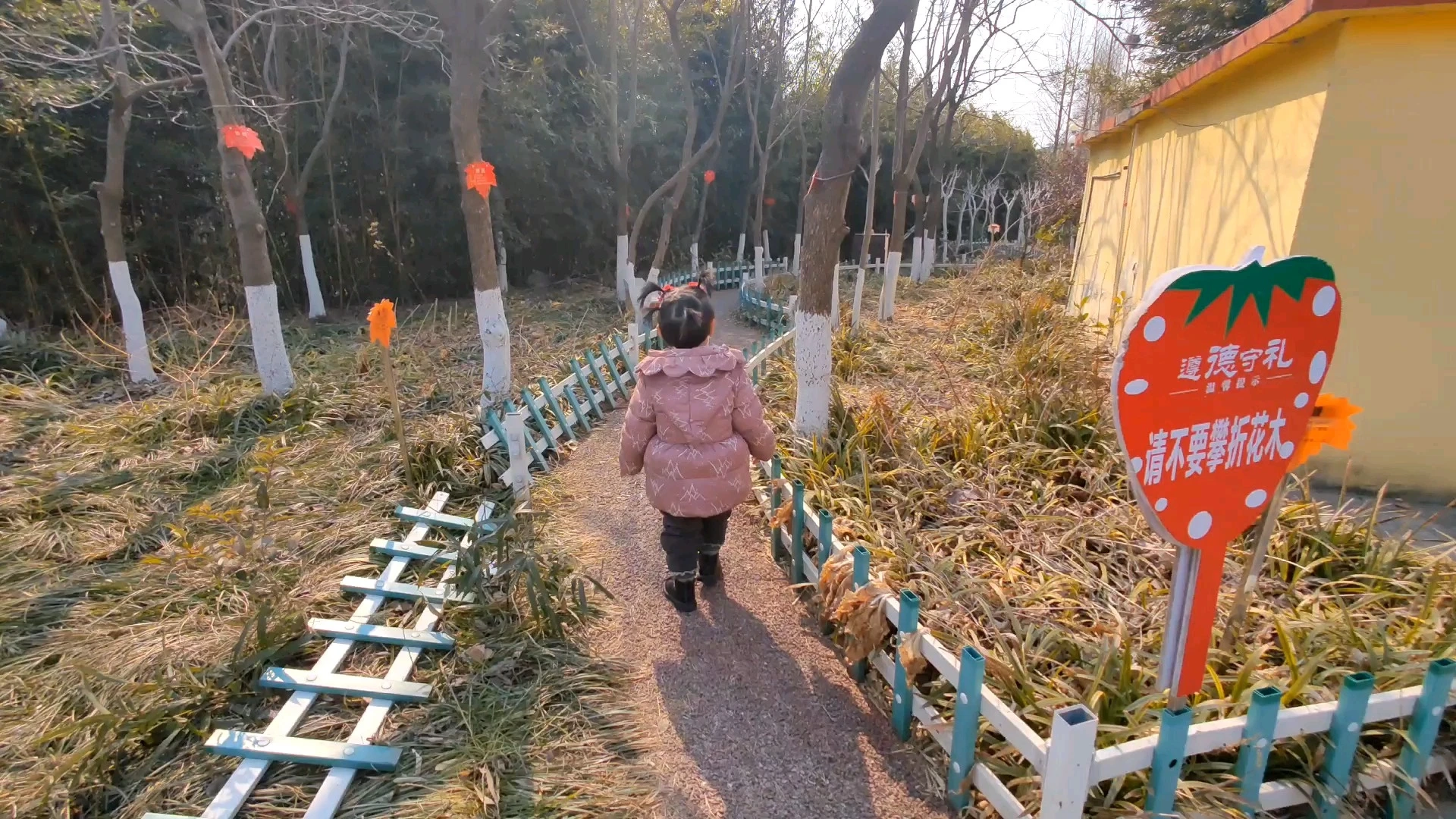 生活的理想