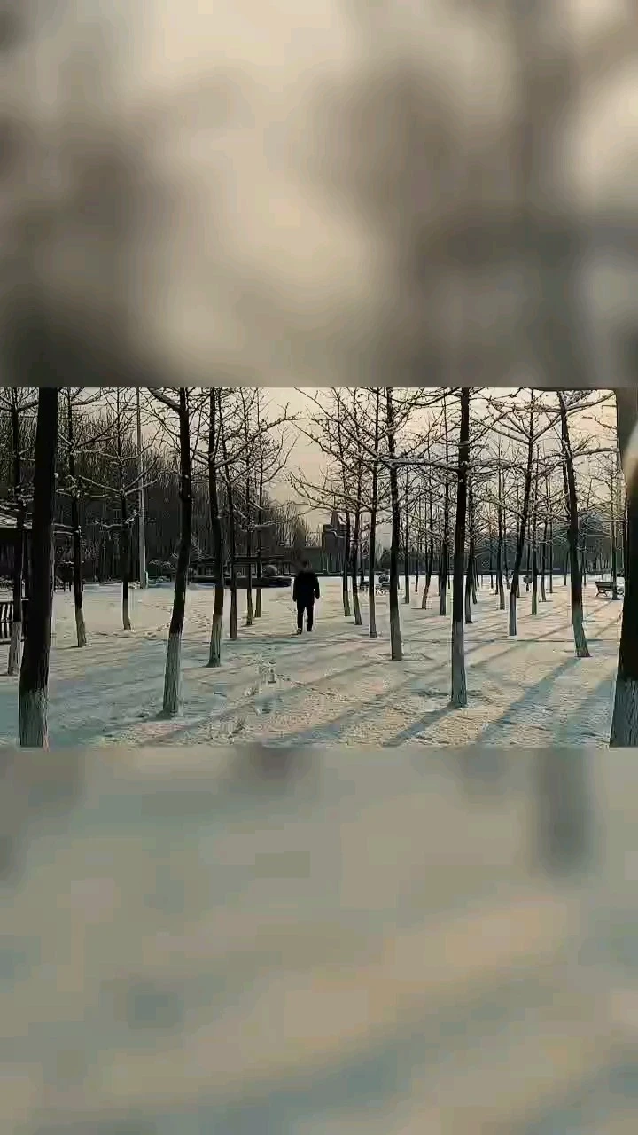 抖音視頻制作剪輯