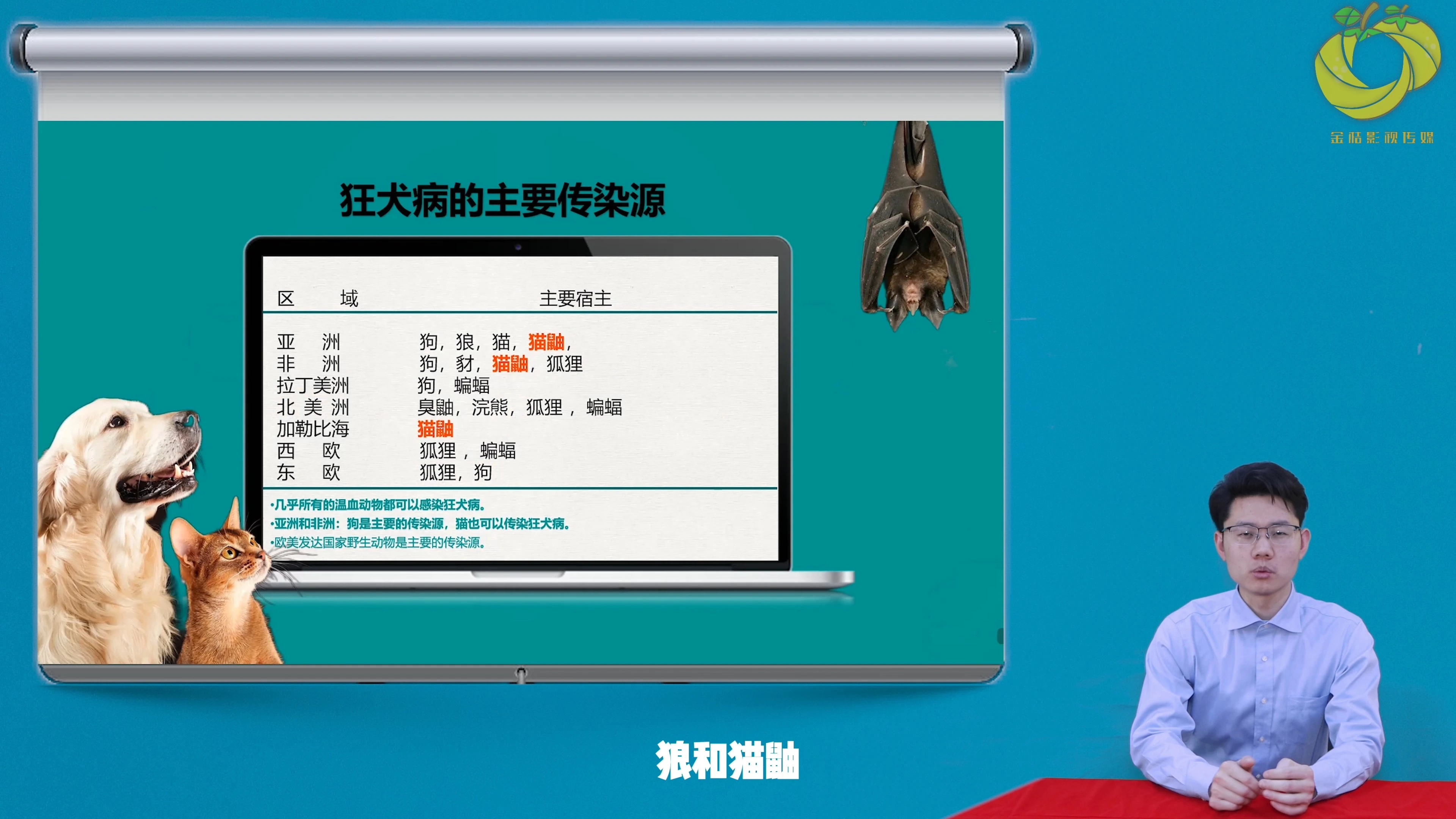 醫(yī)學類健康宣教視頻