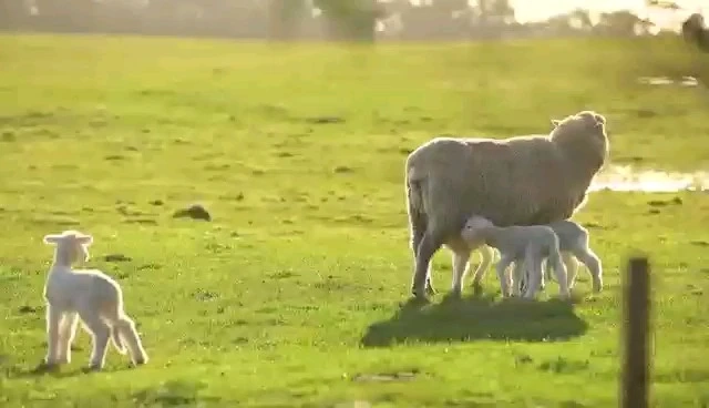 简单转场视频制作