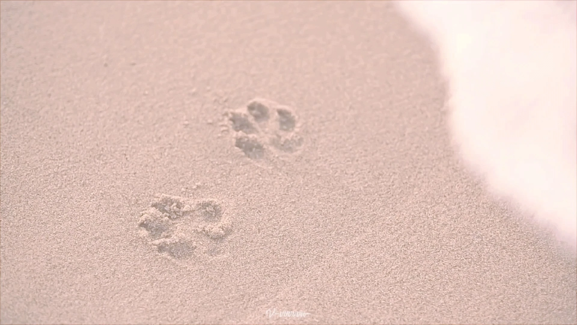 【崔然竣】混剪