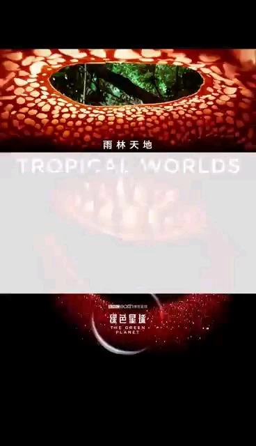 文案視頻
