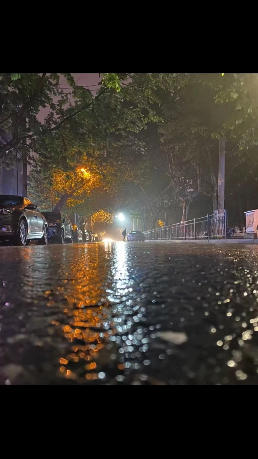 可惜我是水瓶座
